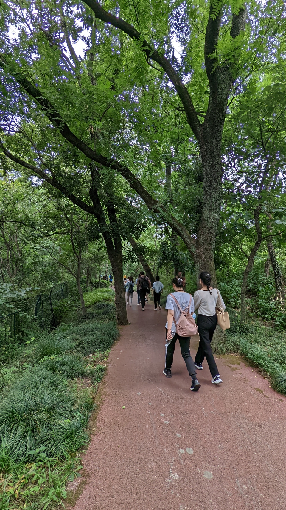 微信图片_20220528170801