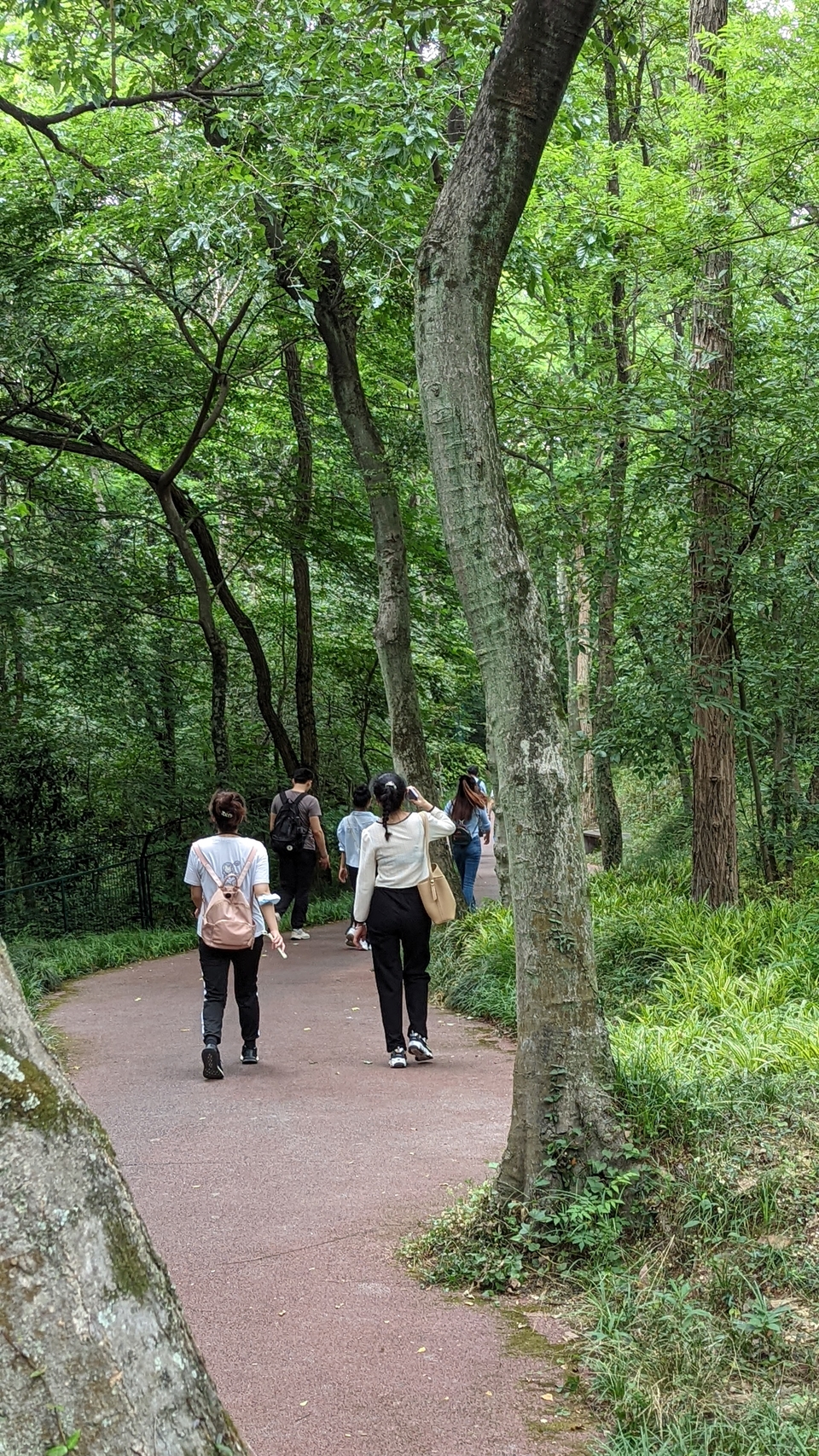 微信图片_20220528170804