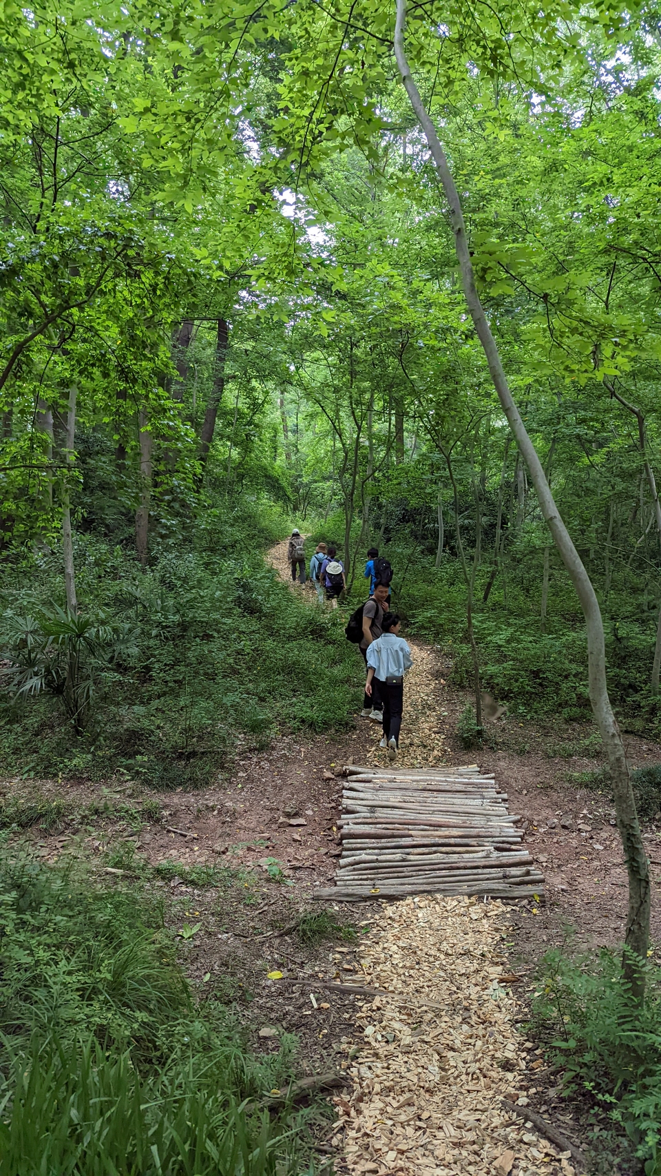 微信图片_20220528170828