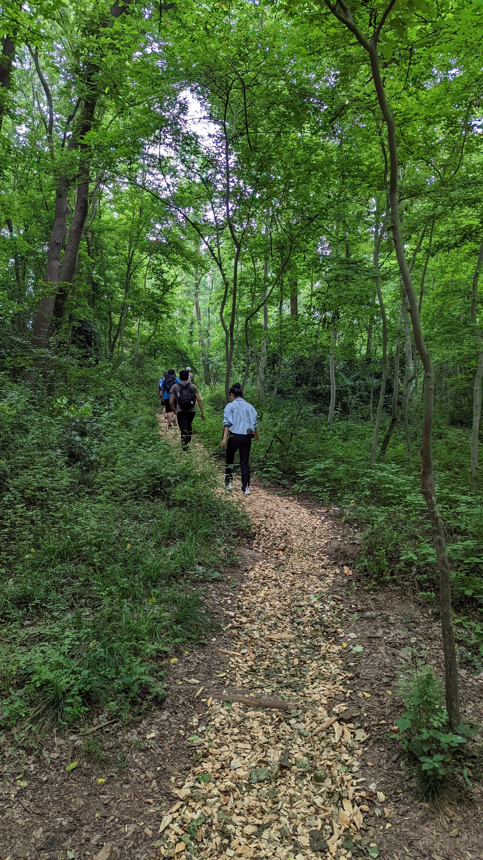 微信图片_20220528170833