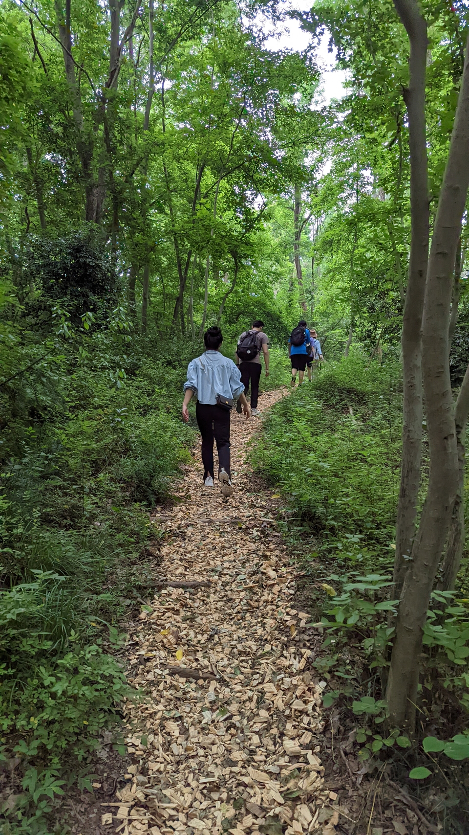 微信图片_20220528170836