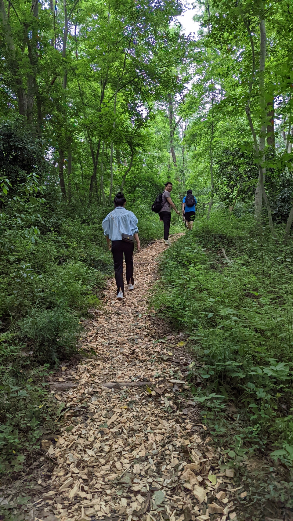 微信图片_20220528170838