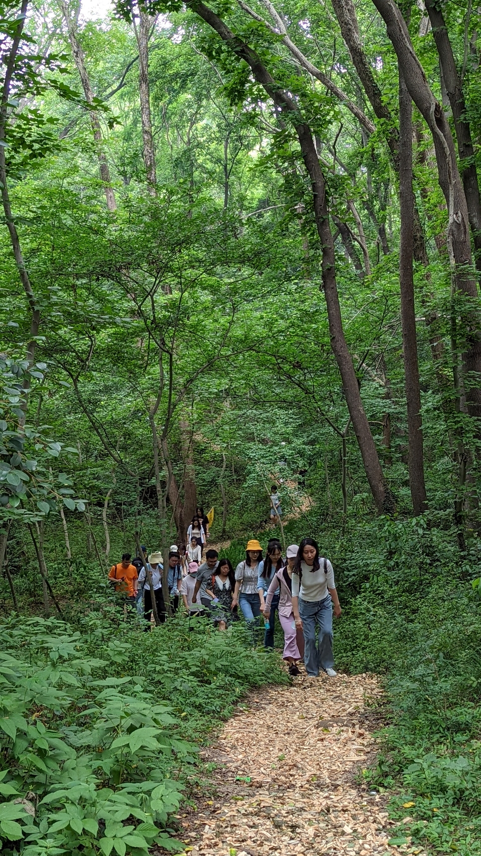 微信图片_20220528170852