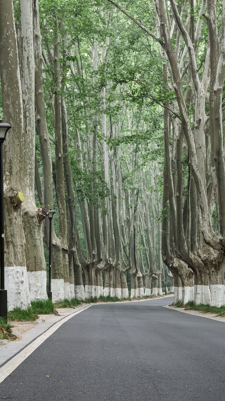 微信图片_20220528170933