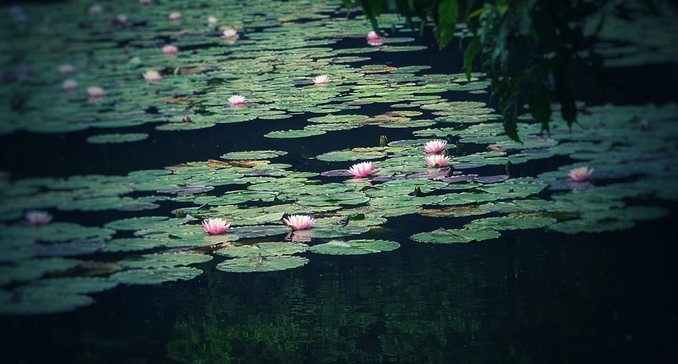 微信图片_20220528170943