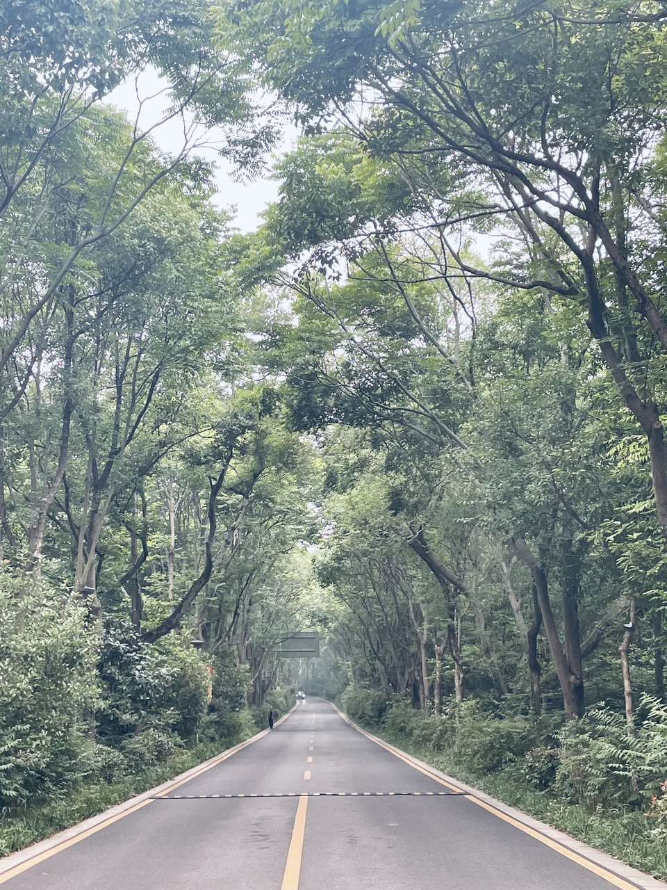 微信图片_20220528170948