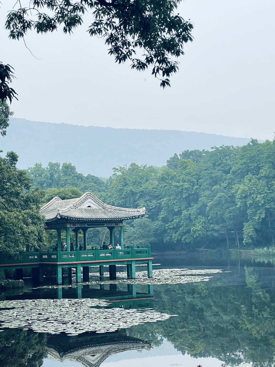 微信图片_20220528170958