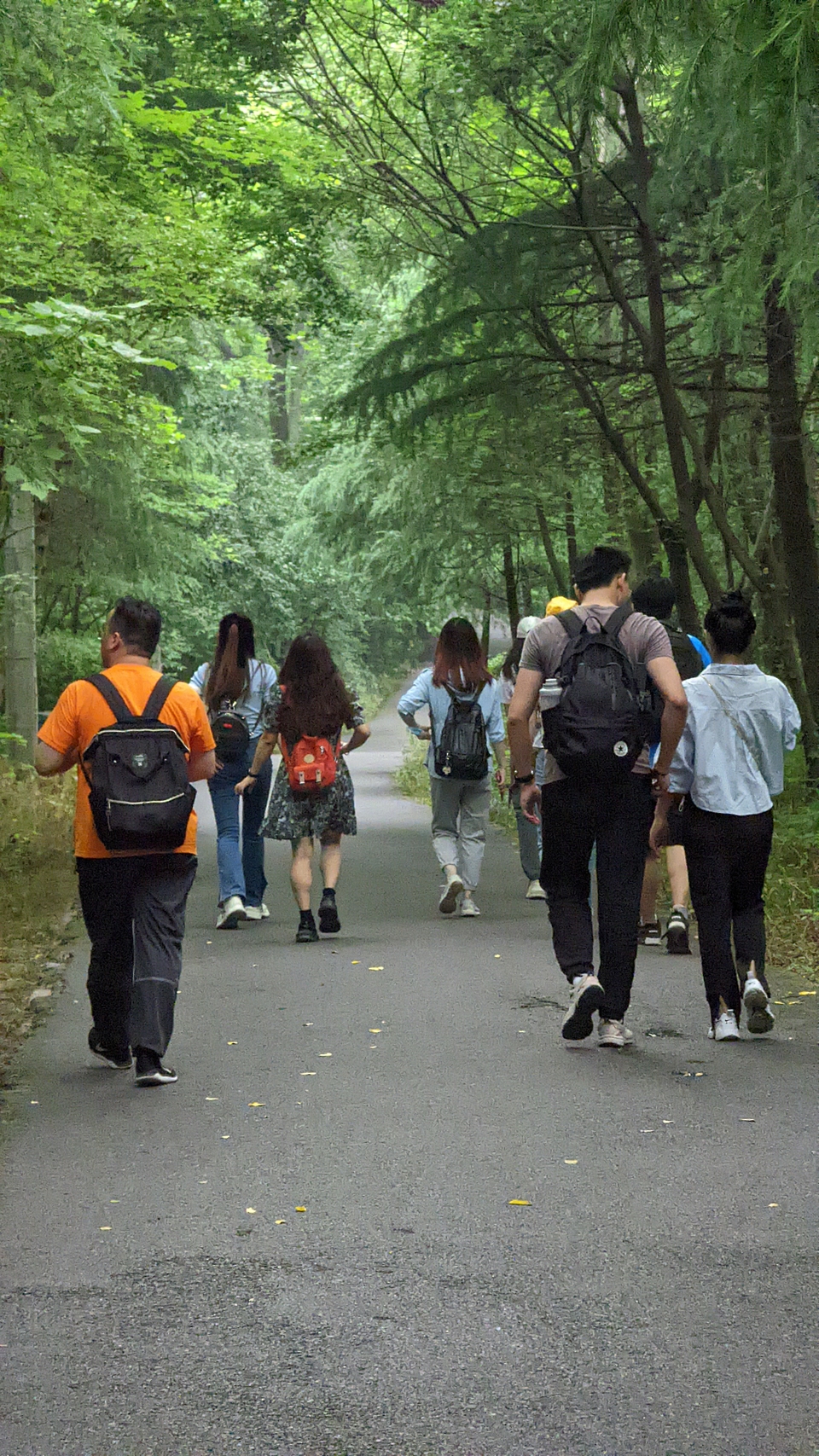 微信图片_20220528171017