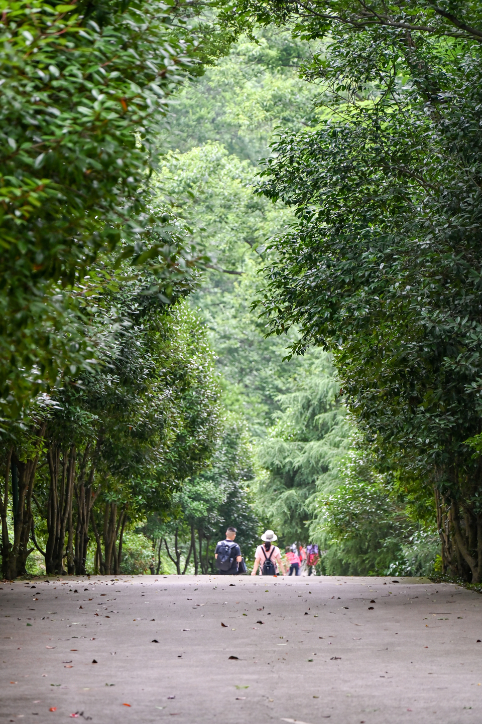 微信图片_20220528182735