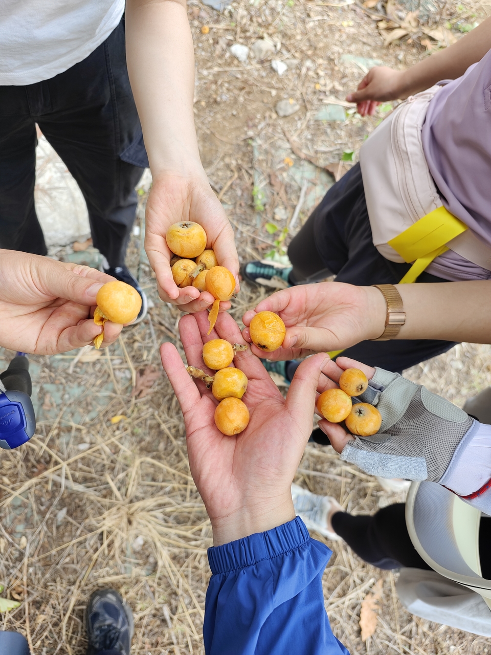 微信图片_20220528182838