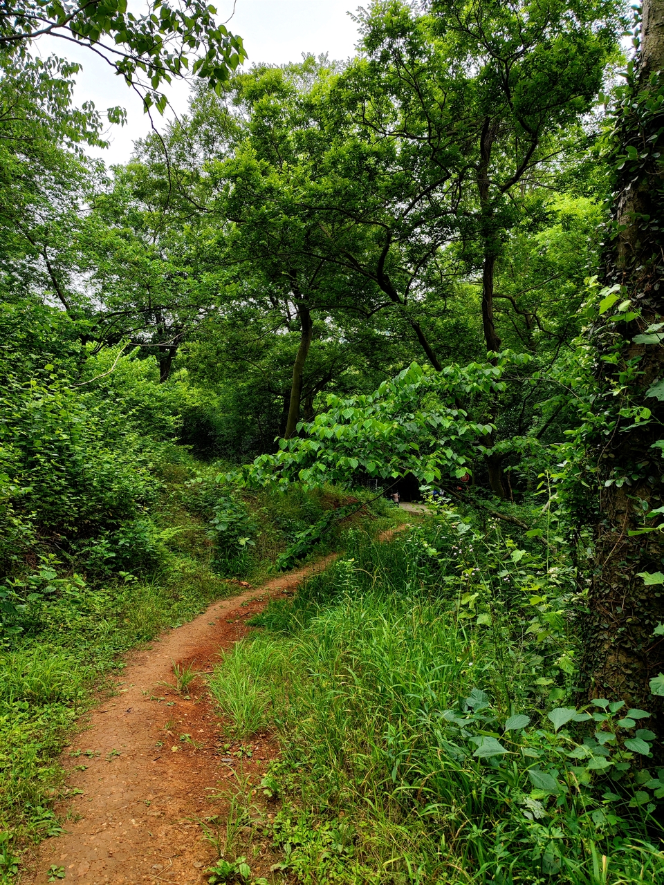 微信图片_20220528194422