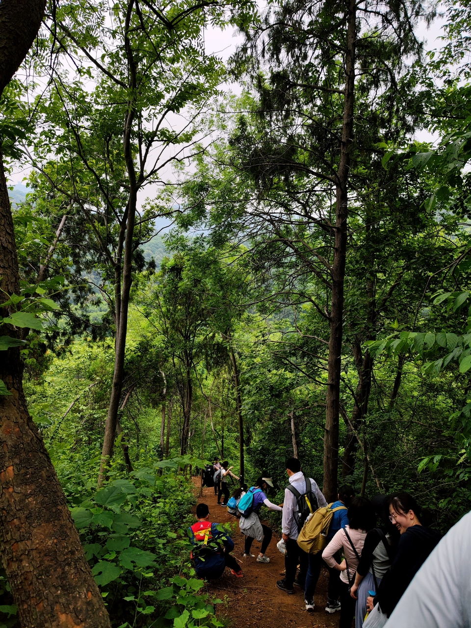 微信图片_20220528194524