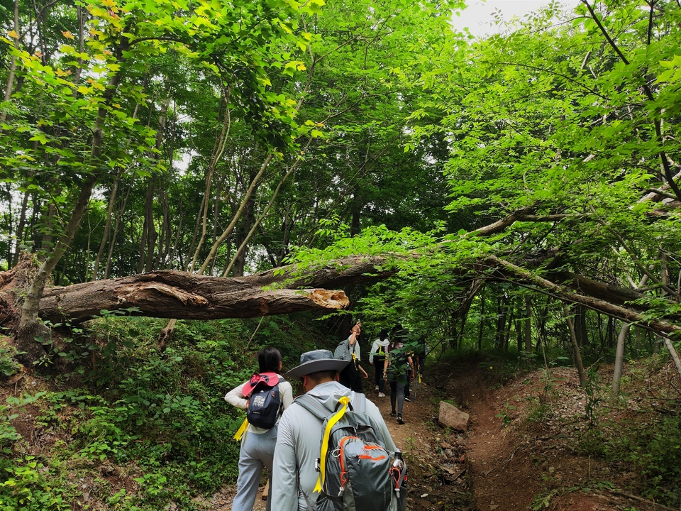 微信图片_20220528194551