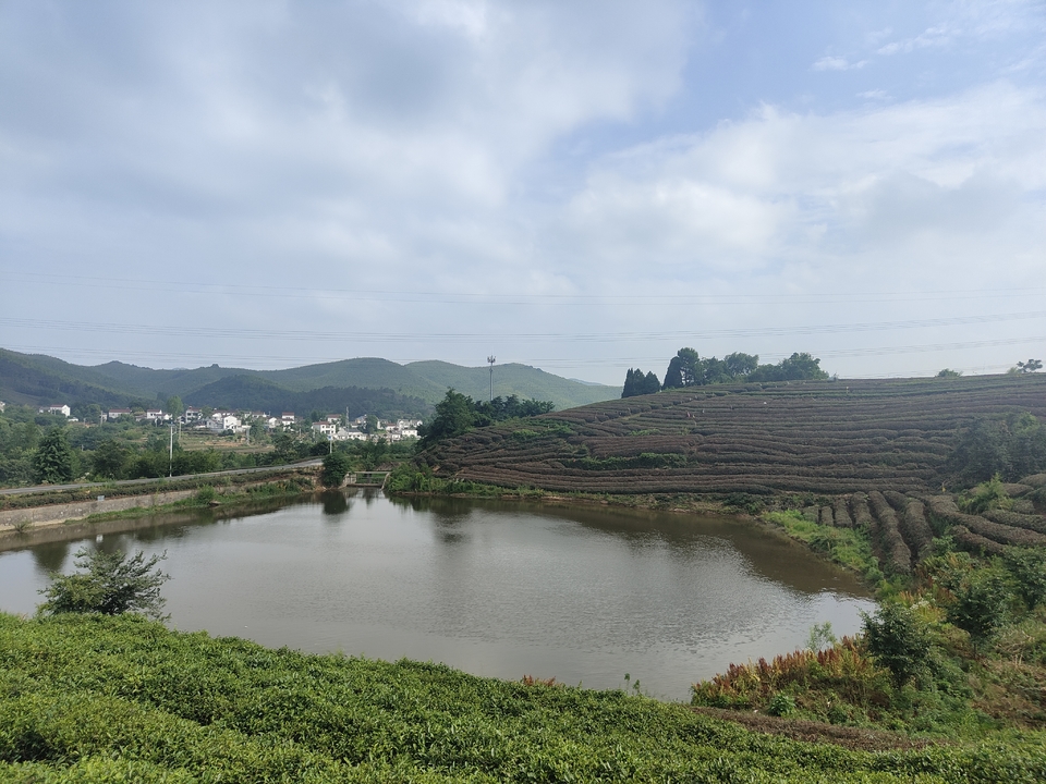 微信图片_20220603184030