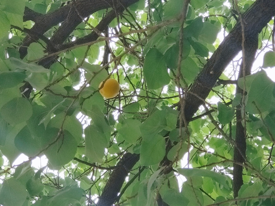 微信图片_20220603184157