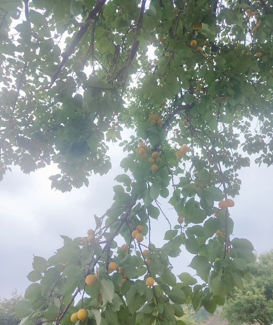 微信图片_20220603184236