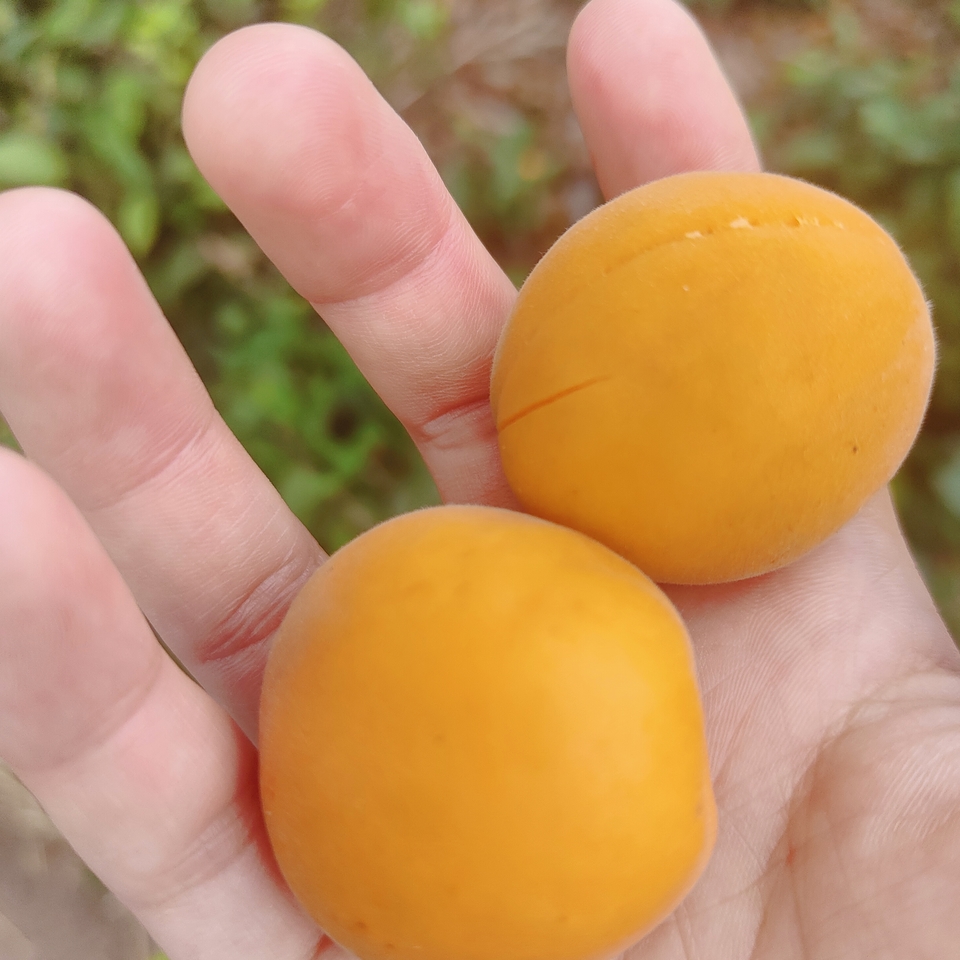 微信图片_20220603184246