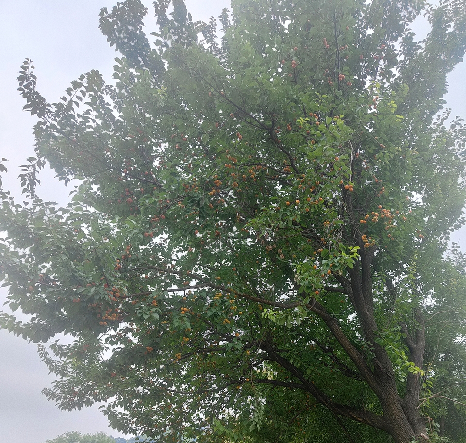 微信图片_20220603184309