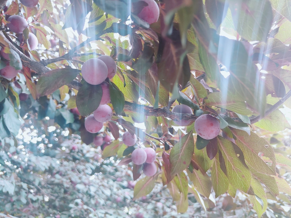 微信图片_20220603184325