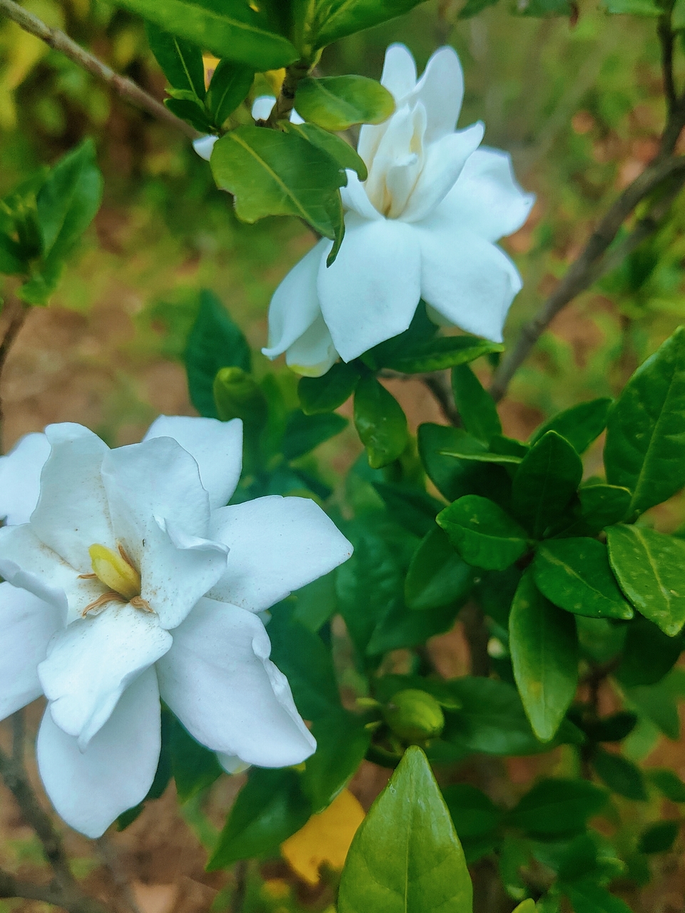 微信图片_20220603184338