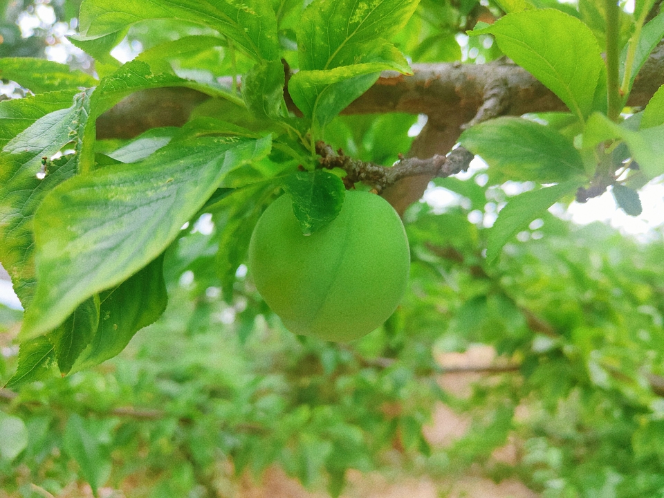 微信图片_20220603184417