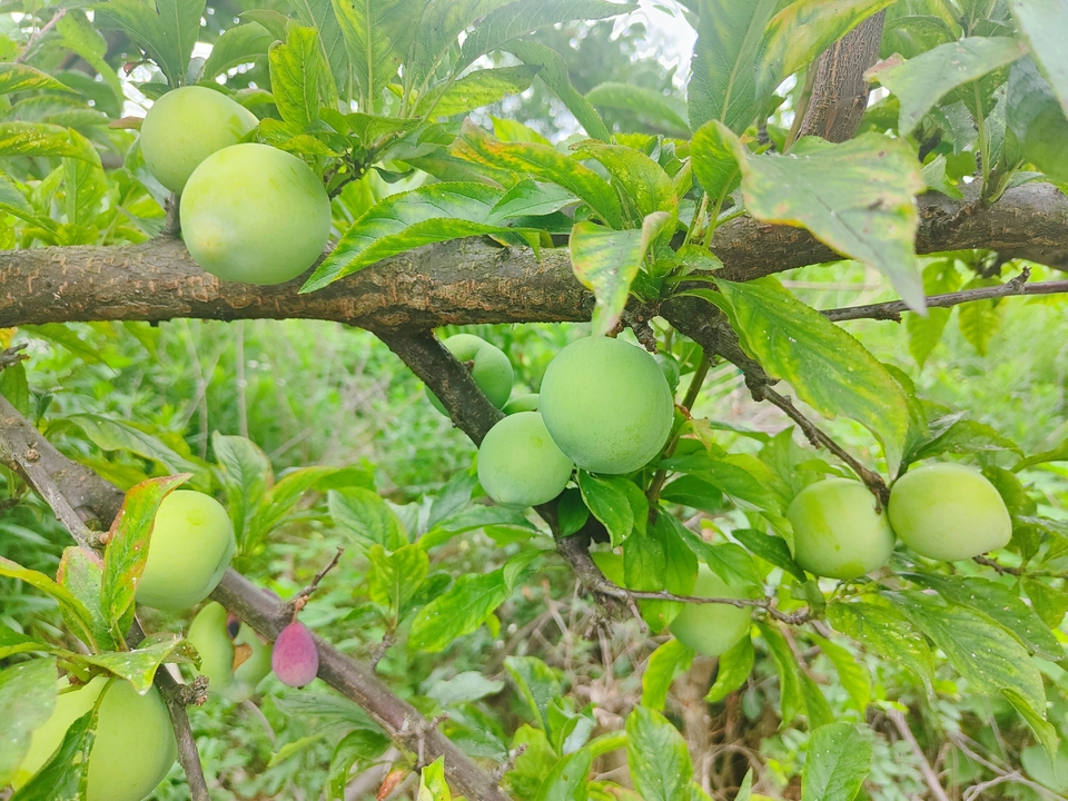 微信图片_20220603184456