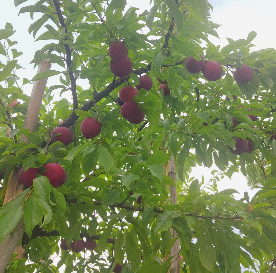 微信图片_20220603184507