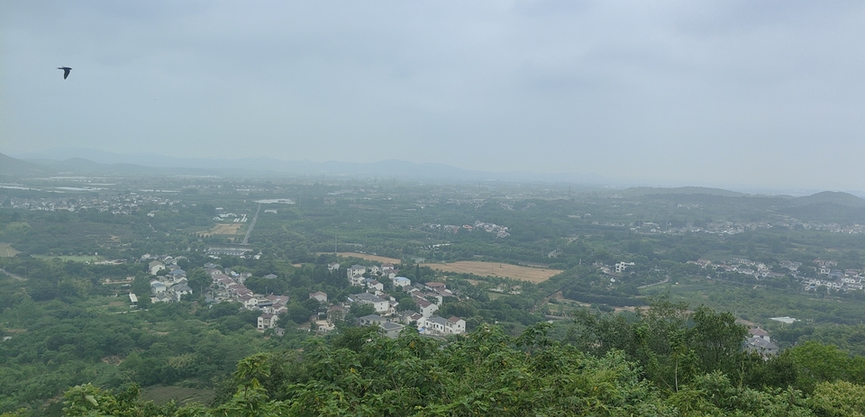 微信图片_20220603184514