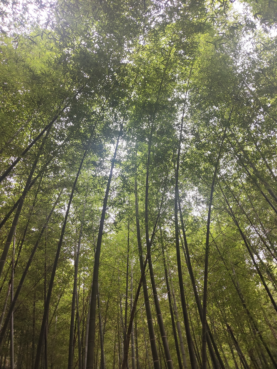 微信图片_20220603184610