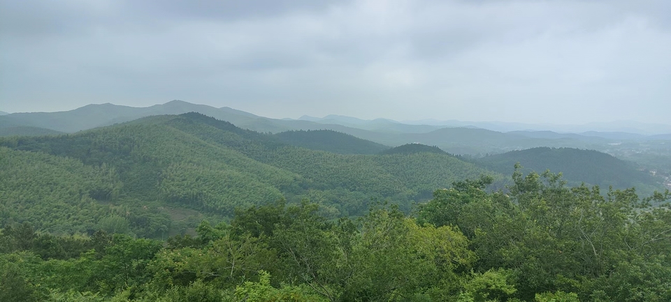 微信图片_20220603184617