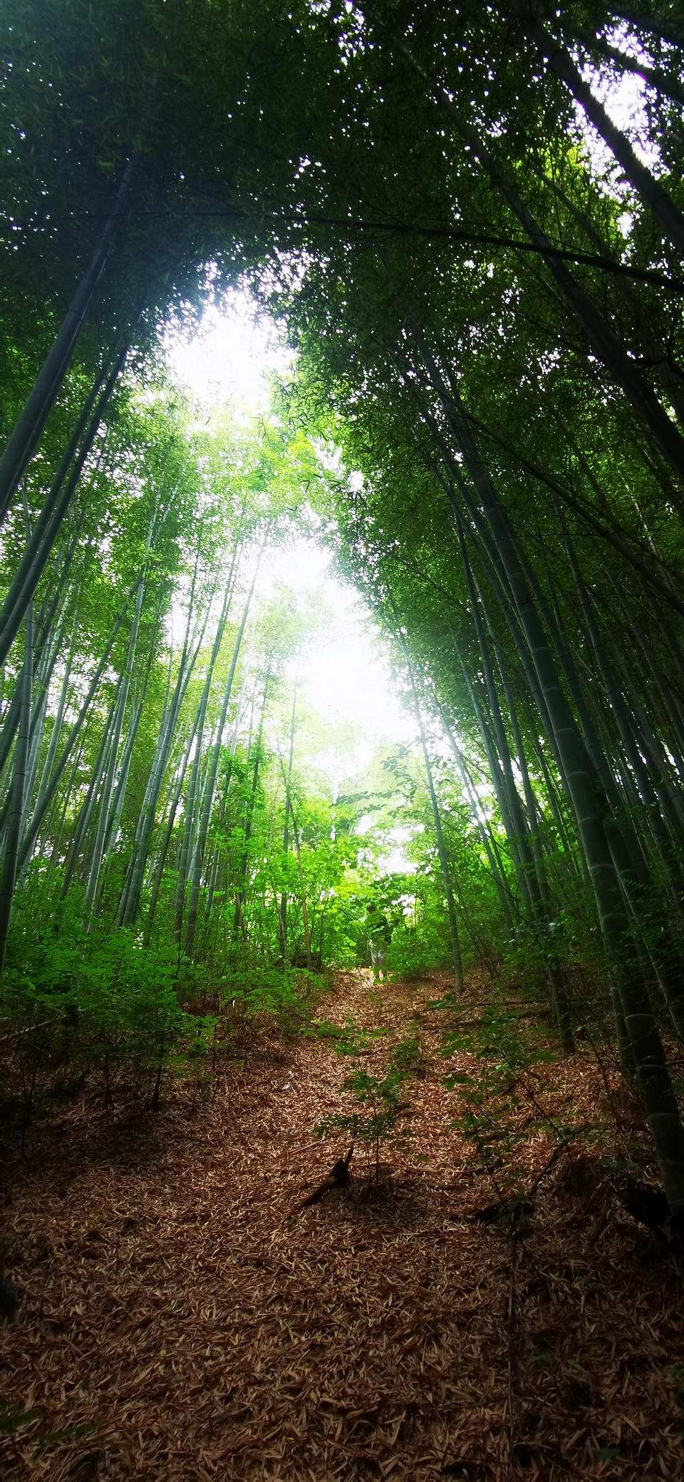 微信图片_20220603184721