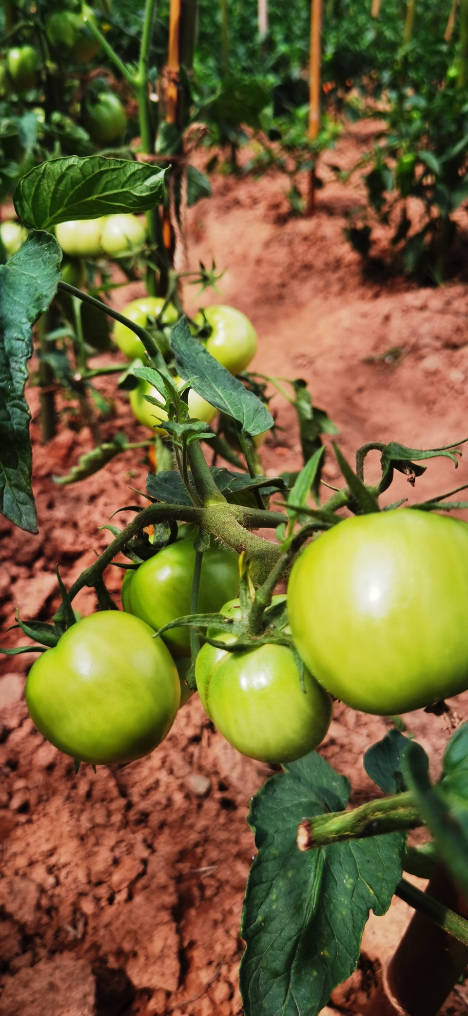 微信图片_20220603184730