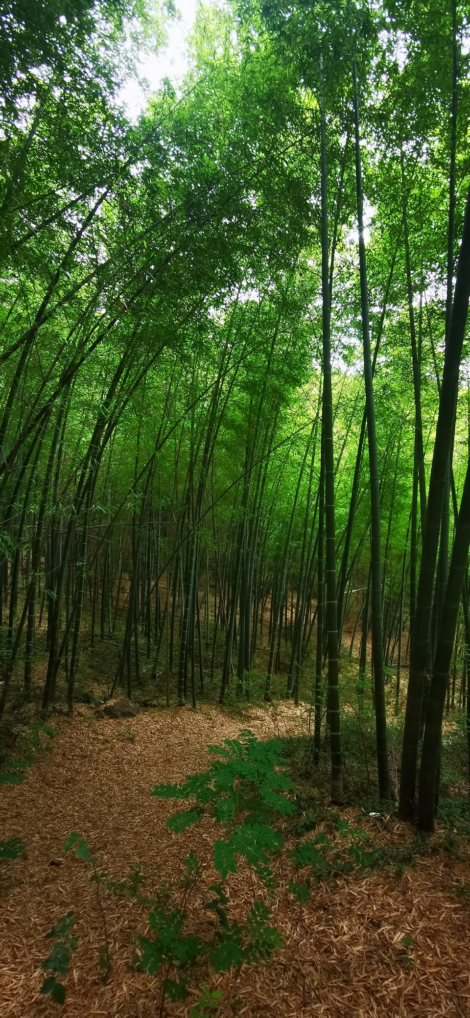 微信图片_20220603184743