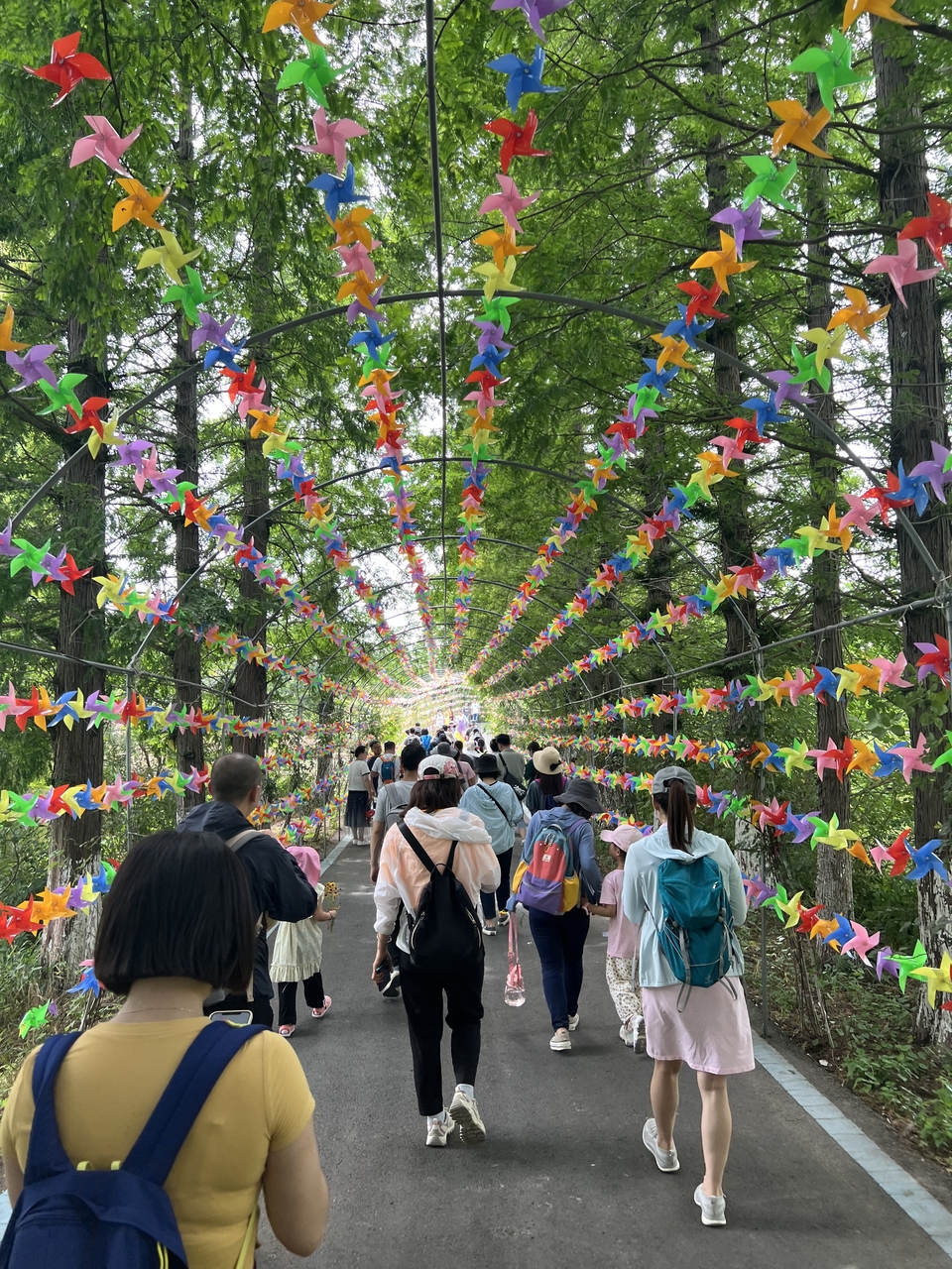 微信图片_20220603184819