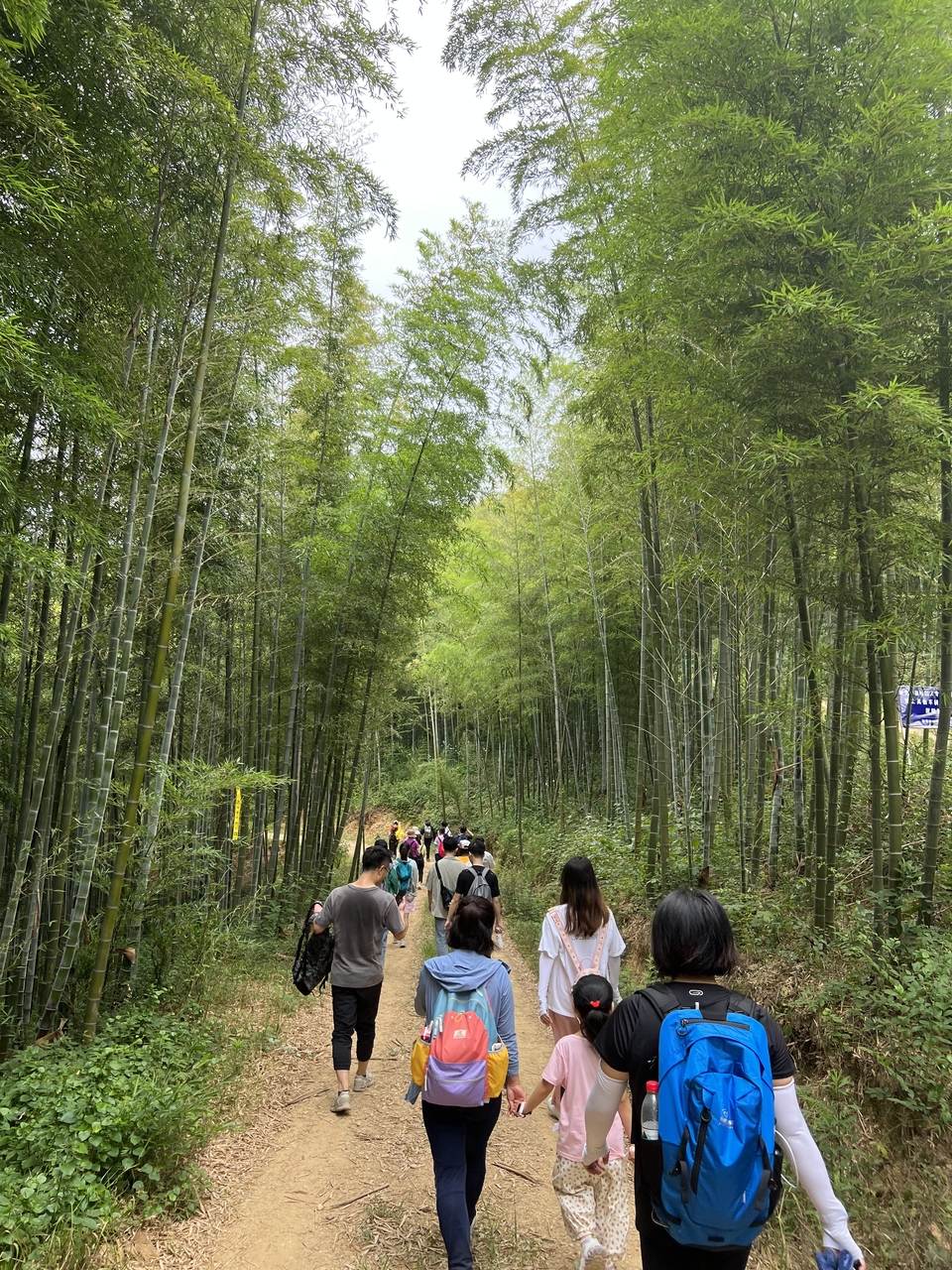 微信图片_20220603185209