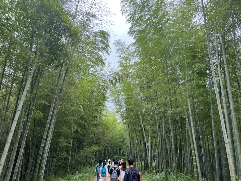 微信图片_20220603185314