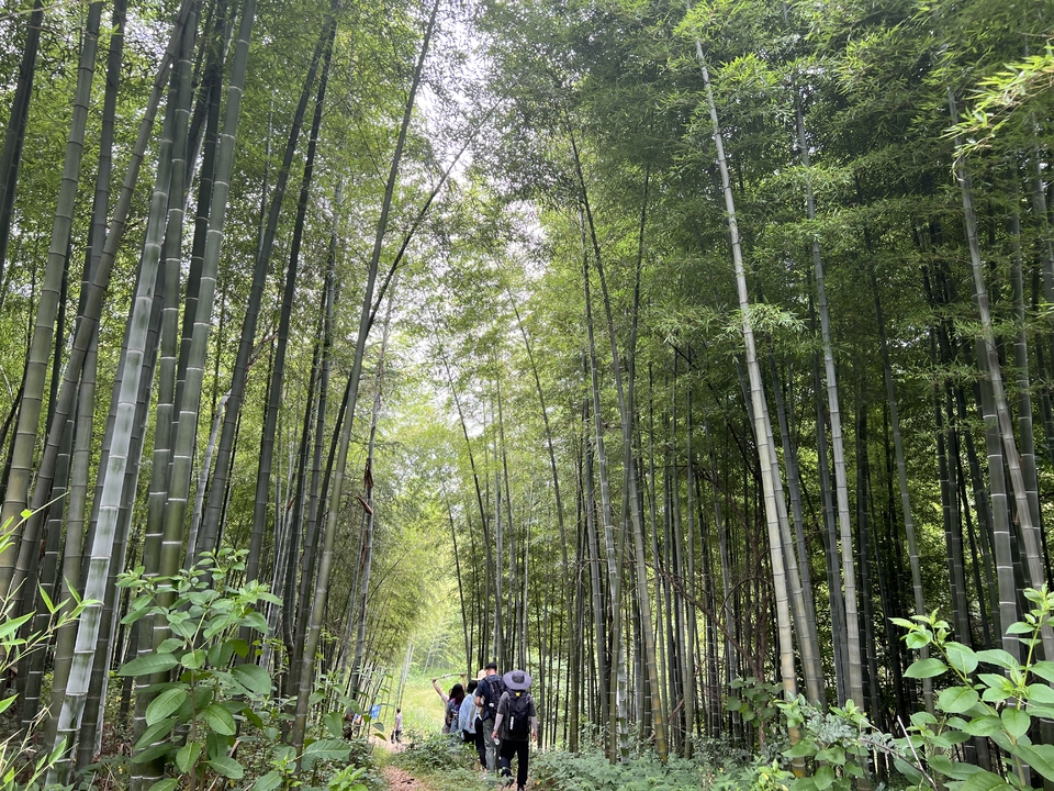 微信图片_20220603185343