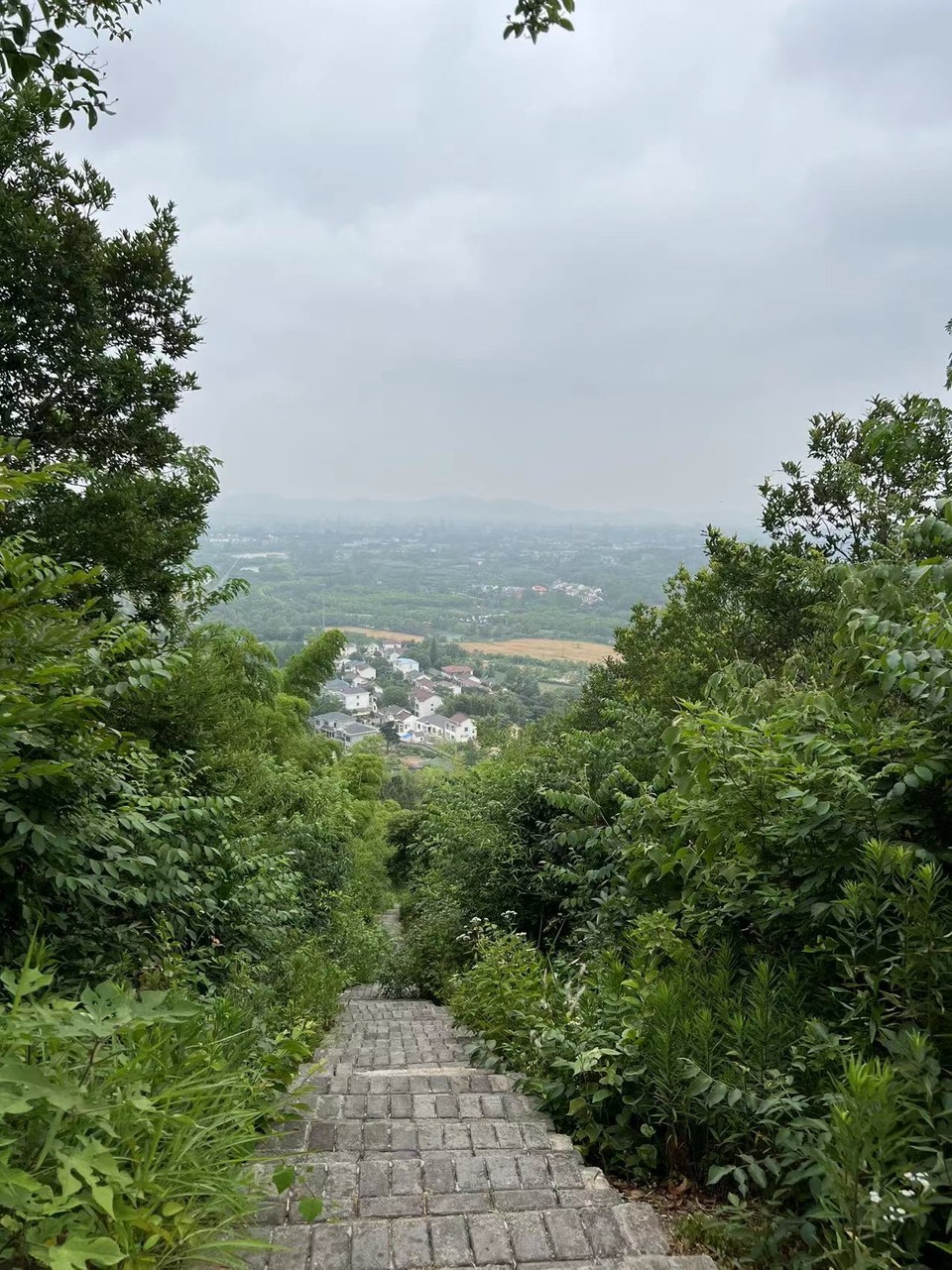 微信图片_20220603185444