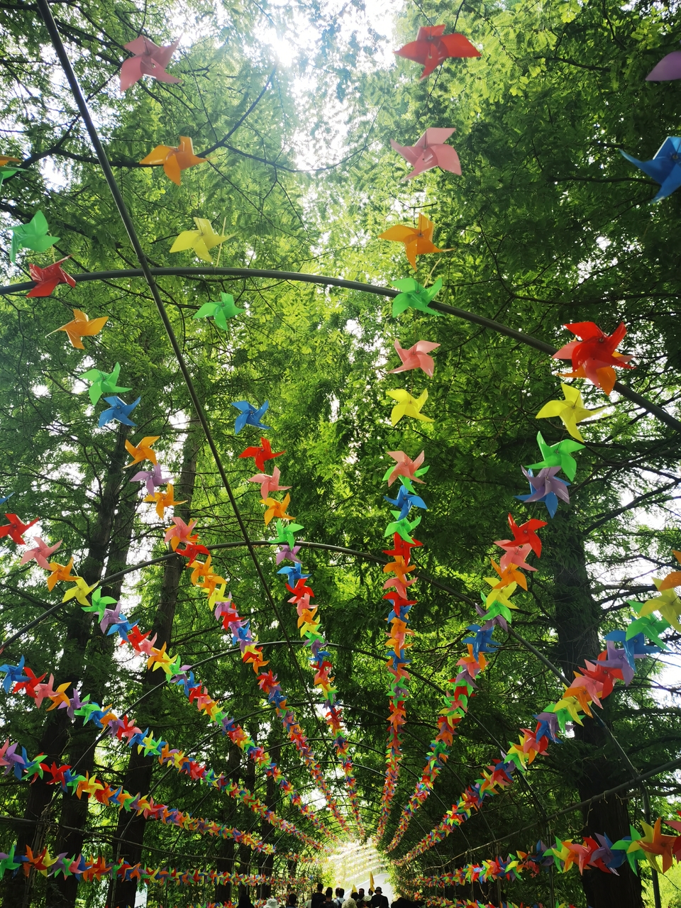 微信图片_20220603185712