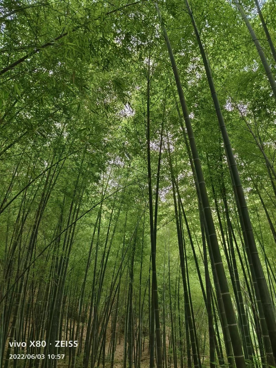 微信图片_20220603185836