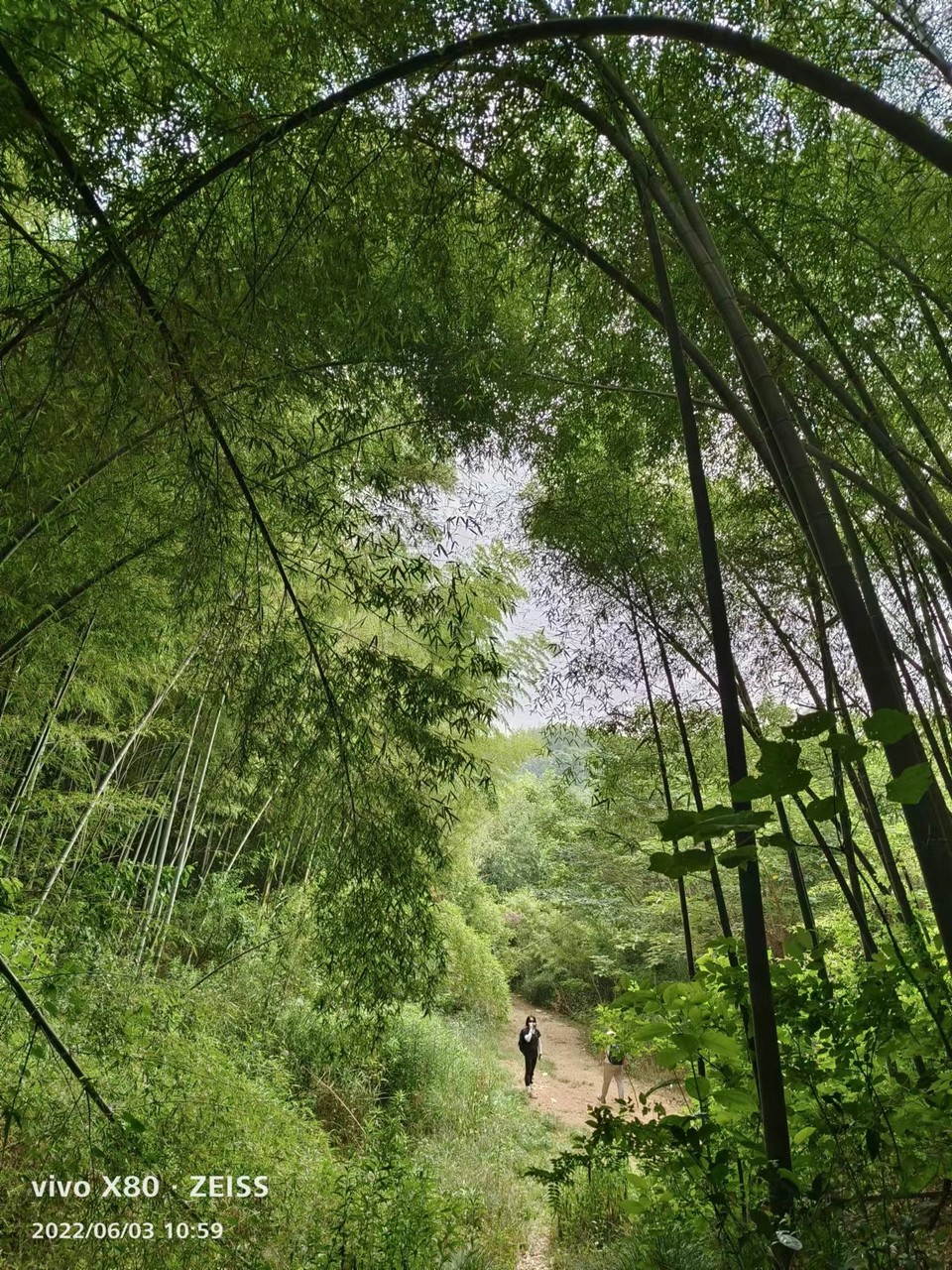 微信图片_20220603185841