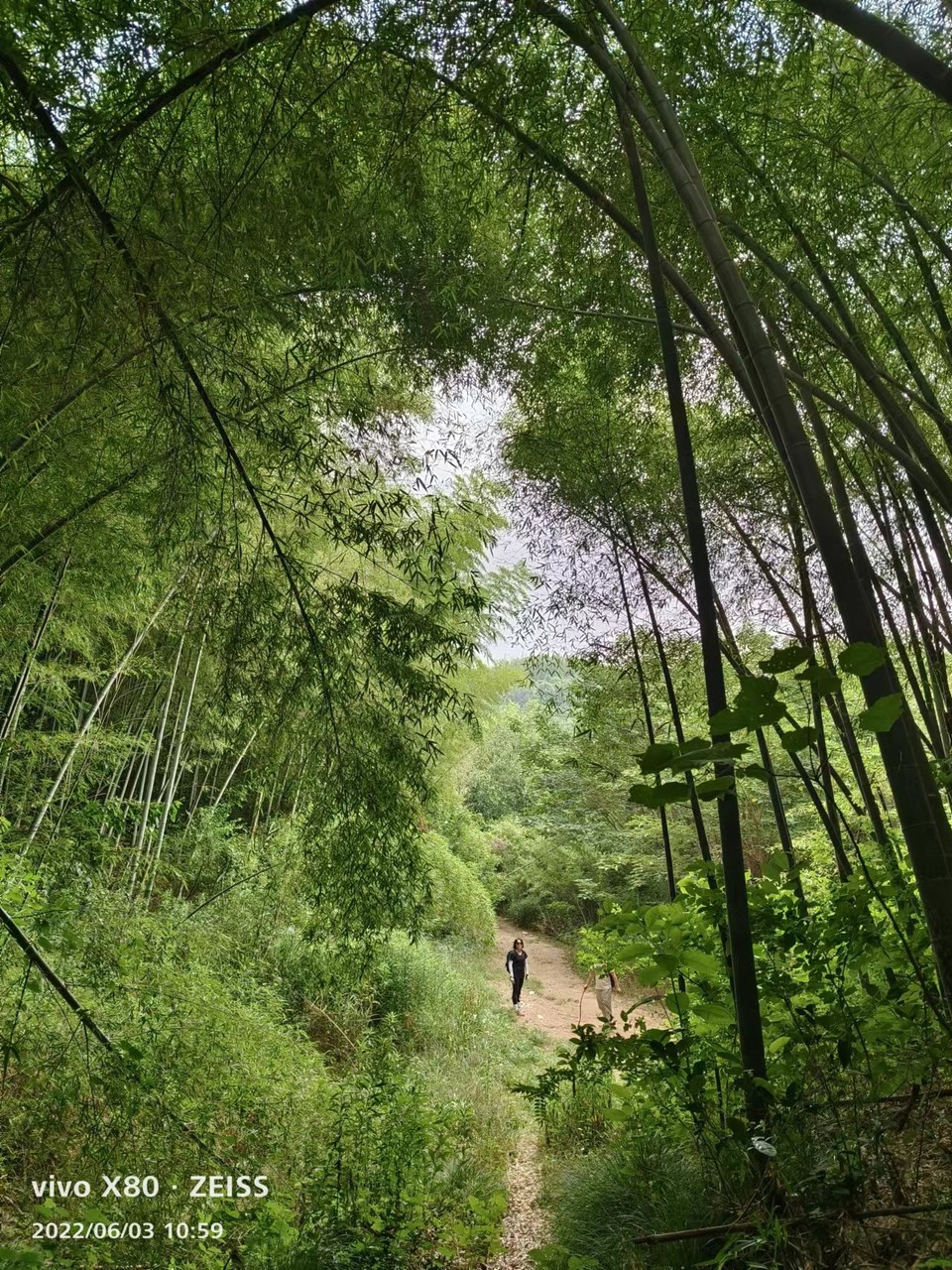 微信图片_20220603185845