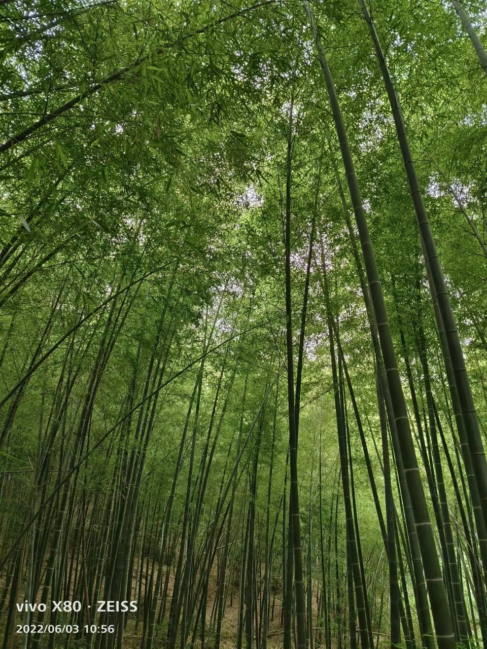 微信图片_20220603185849