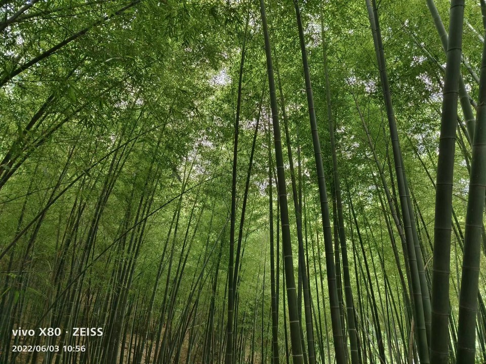 微信图片_20220603185853