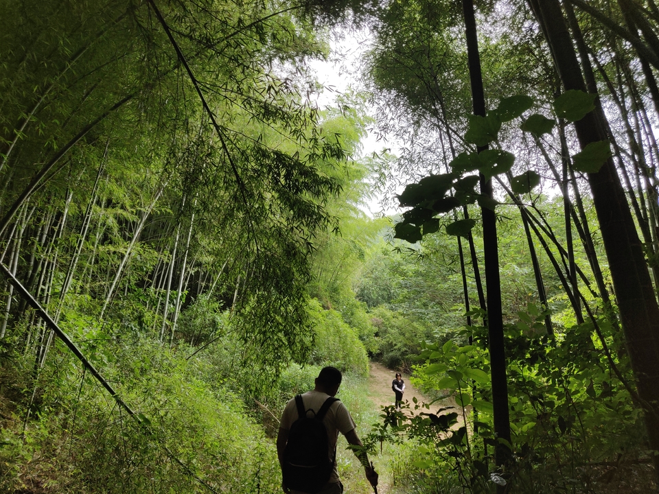 微信图片_20220603185855