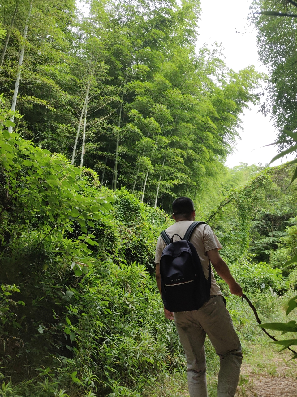 微信图片_20220603185900