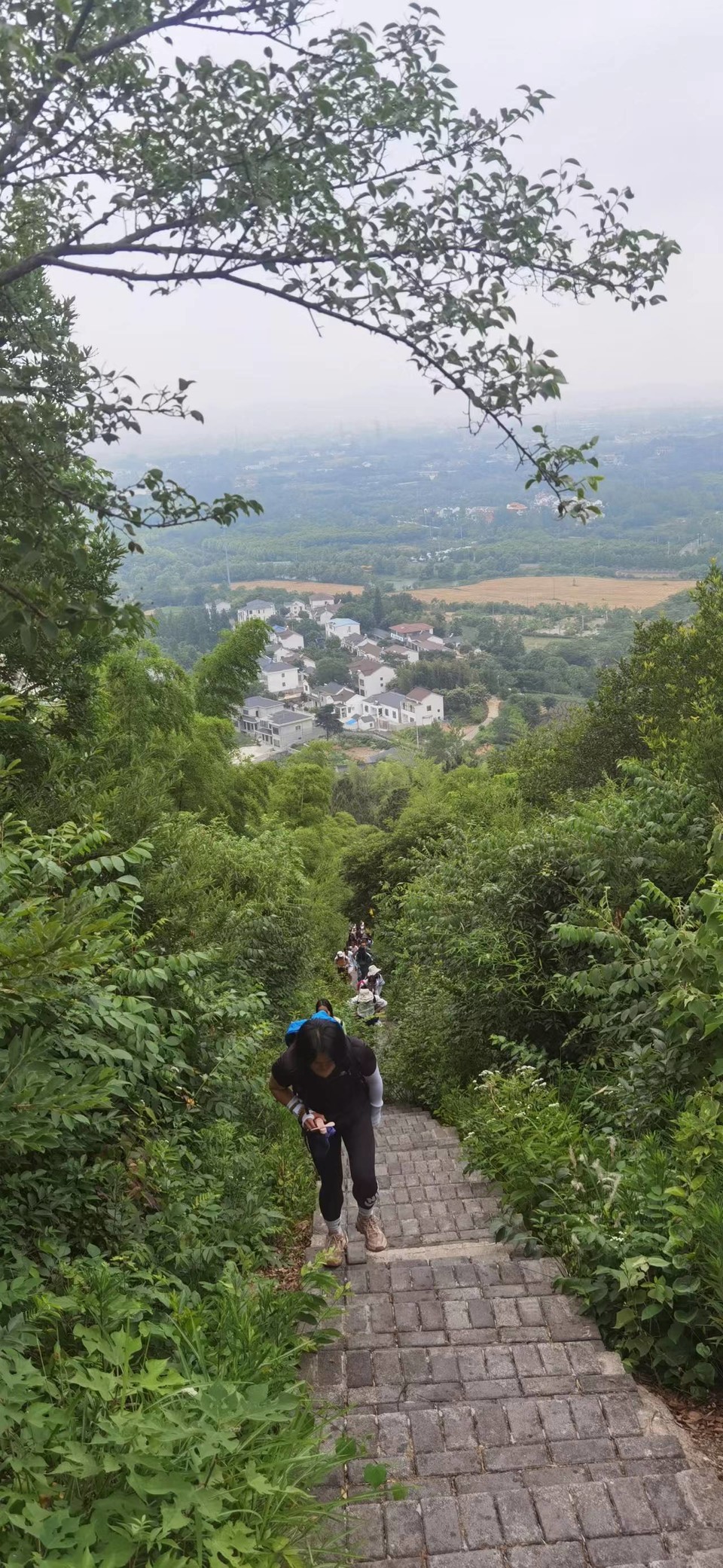 微信图片_20220603185924