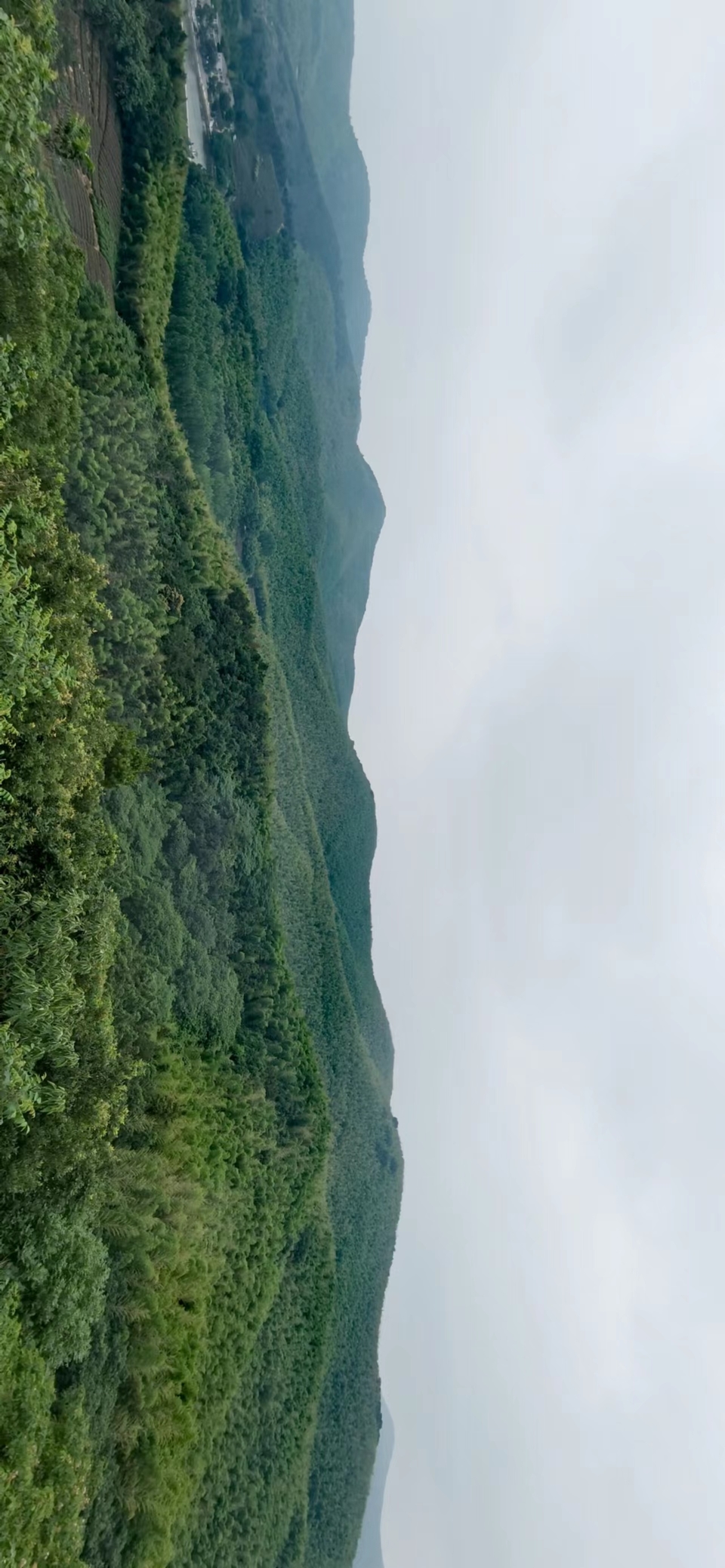 微信图片_20220603185935