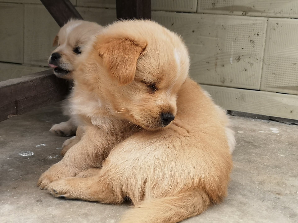 微信图片_20220603190112