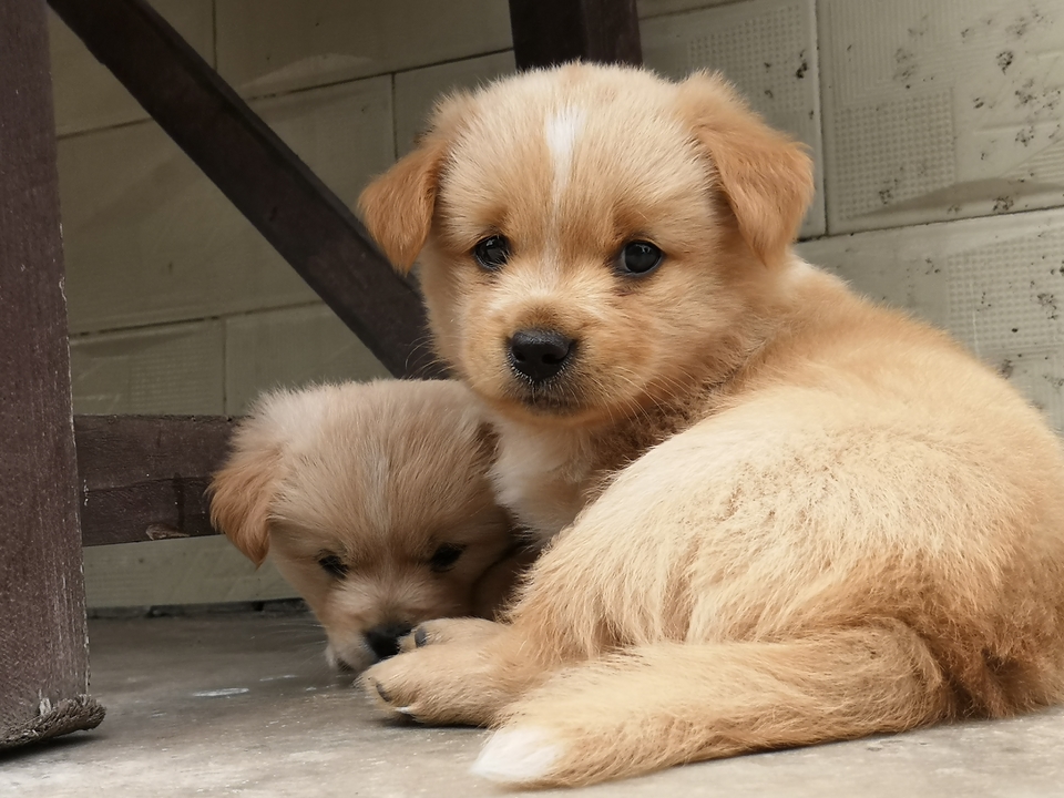 微信图片_20220603190116